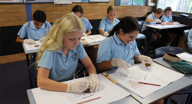 A group of students in a classroom excavating choc chip bikkies for a History task.