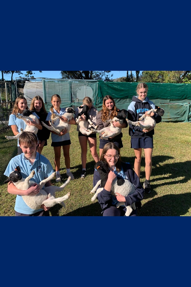 A group of students all holding new born lambs in front of a shadehouse.