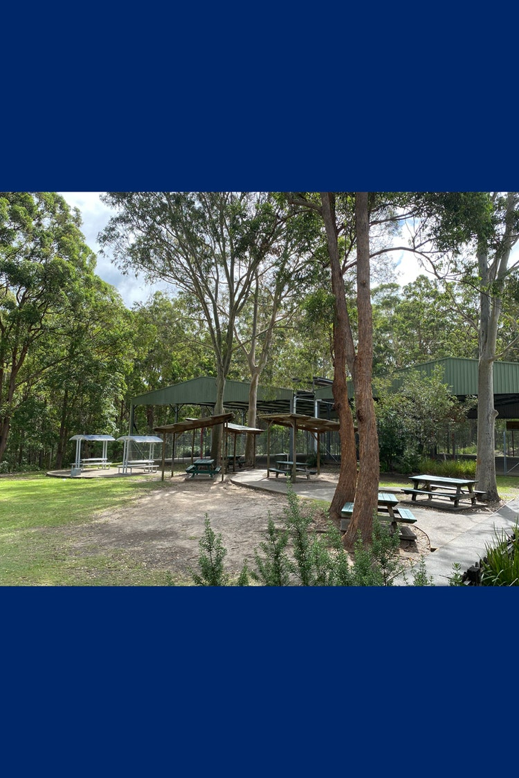An image of school grounds with trees, shelters and a covered basketball court